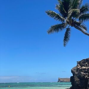 Meet your Posher, Kathleen